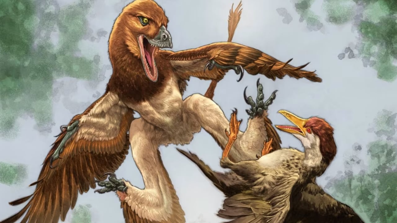 Científicos identificaron una especie que pudo haber cazado a las primeras aves. Jian changmaensis (izquierda).