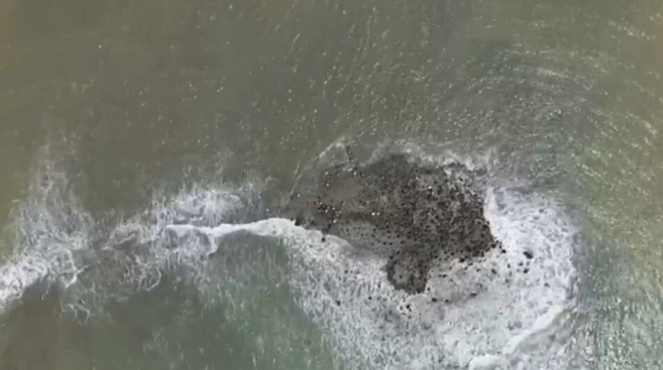 Isla Damaquiel del Urabá antioqueño.