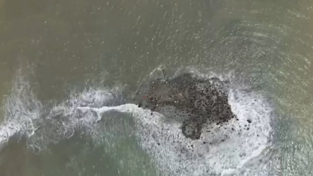 Isla Damaquiel del Urabá antioqueño.