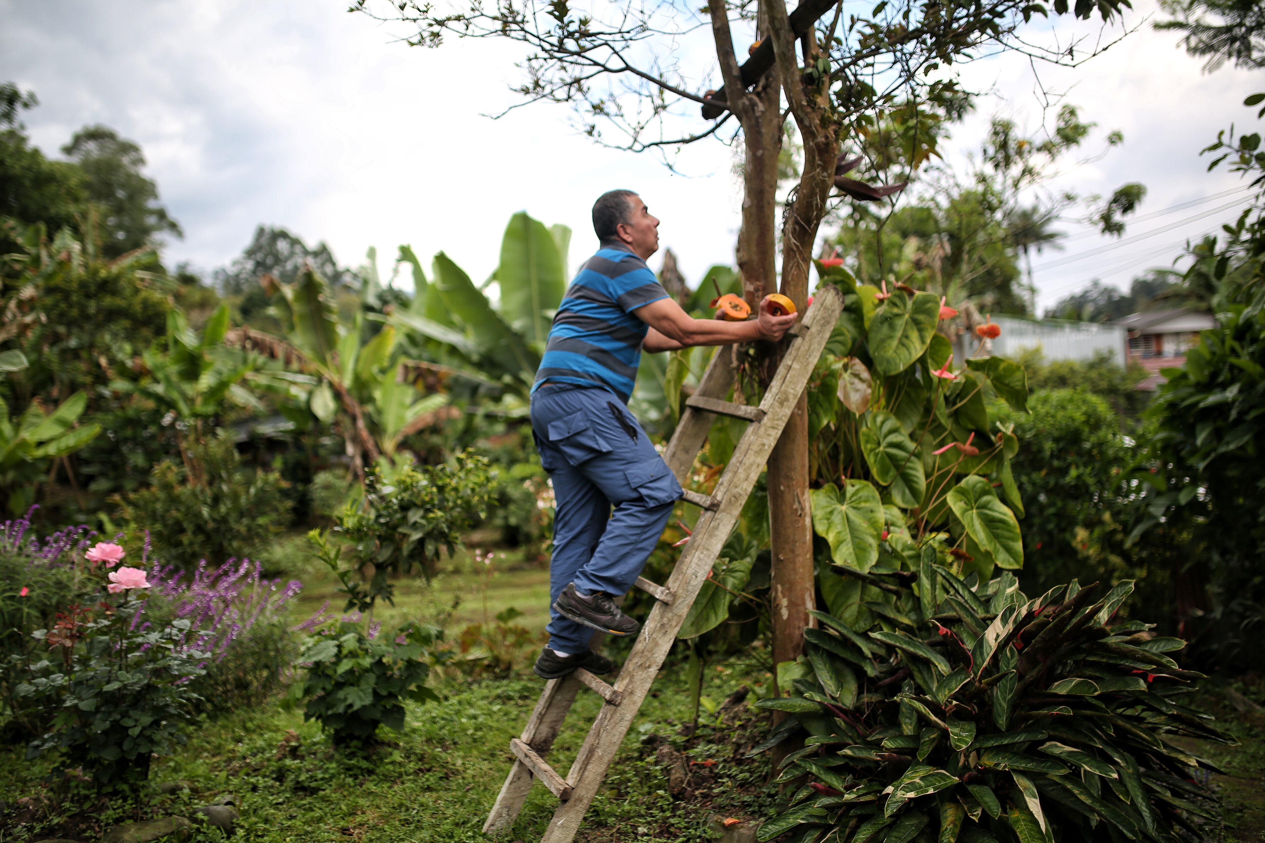 Sargento Gilberto Ávila Llano 
Eutanasia Glifosato