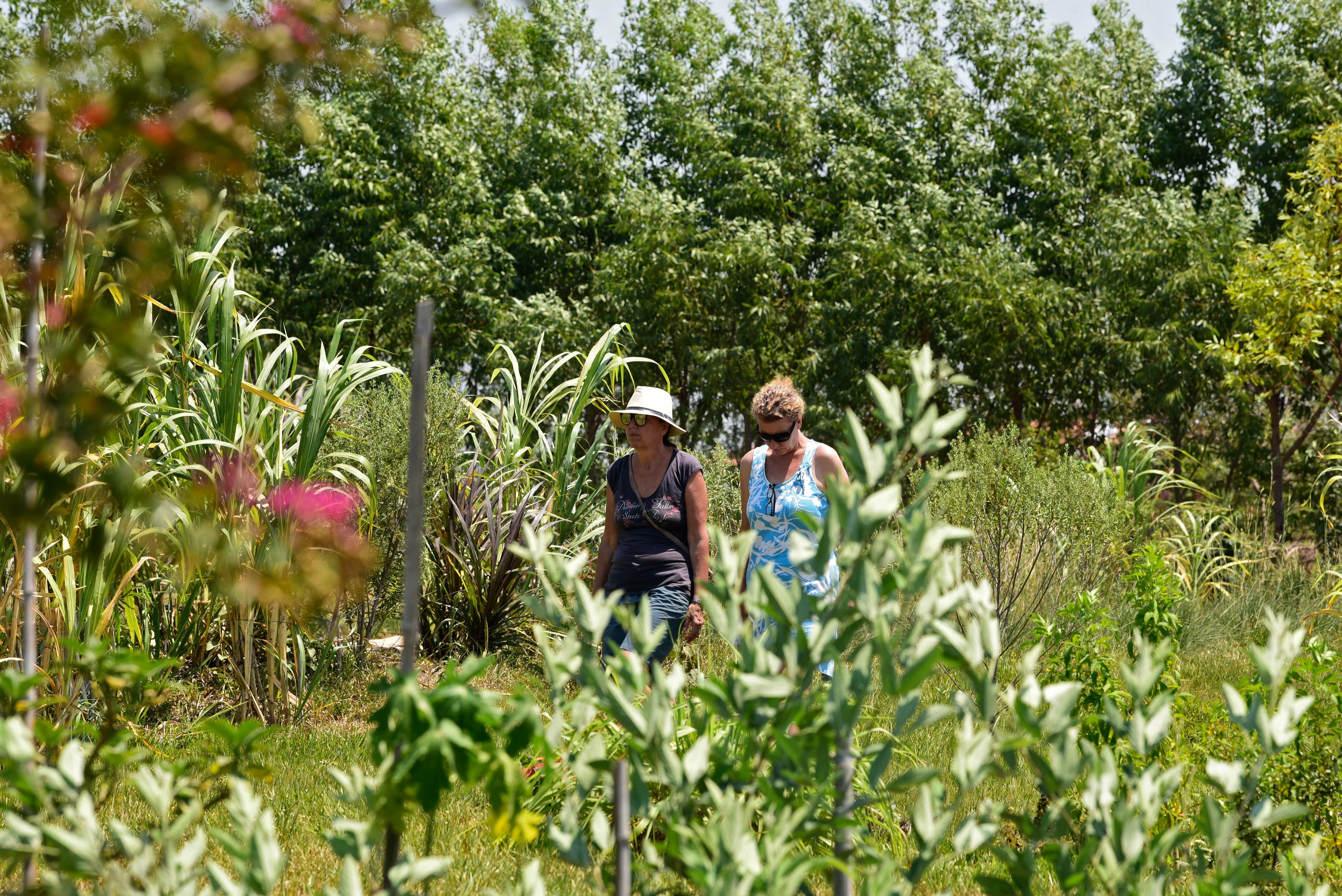 Las mujeres son vistas en su casa en la comunidad cerrada "El Paraiso Verde" (El Paraíso Verde) en Caazapa, Paraguay, el 14 de febrero de 2022. - Decenas de ciudadanos principalmente alemanes y austriacos, de los cuales la mayoría no habla español y rechaza la vacuna contra el coronavirus - se han asentado en el Paraíso Verde buscando esquivar la "excesiva" regulación europea. (Foto de Norberto DUARTE / AFP)