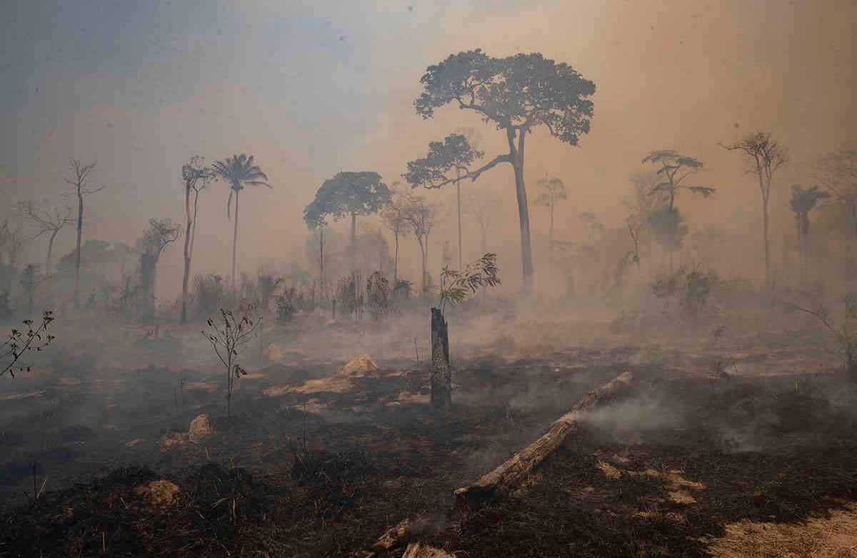 El fuego consume tierras recientemente deforestadas por ganaderos cerca de Novo Progresso, estado de Pará, Brasil, el domingo 23 de agosto de 2020. Los ambientalistas dicen que la Amazonía ha perdido alrededor del 17% de su área original y, temen que la corriente pueda llegar a un vuelco. punto en los próximos 15 a 30 años después del cual podría dejar de generar suficiente lluvia para mantenerse. Foto: Andre Penner / AP 