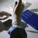 La empresa Vitrology Biotech con sede en Escocia intentará desarrollar una vacuna contra la gripe H1N1 o "porcina".