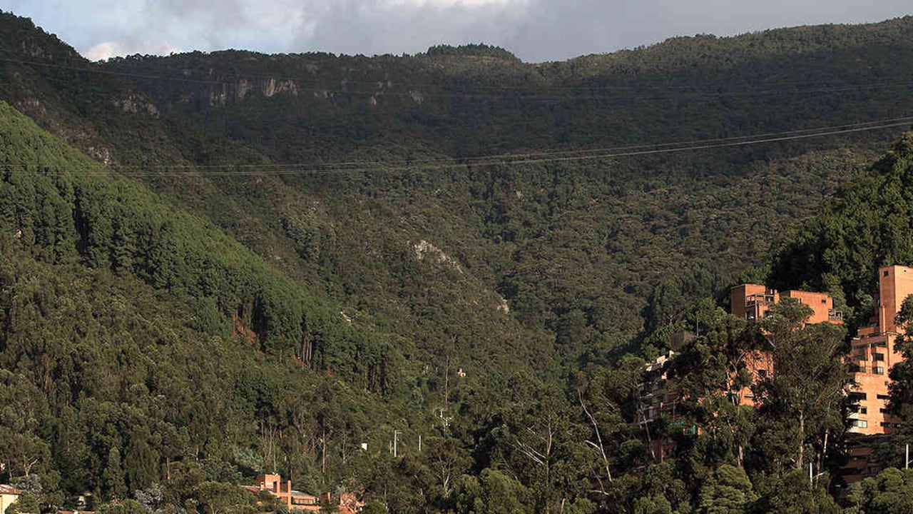 El Sendero de las Mariposas atravesaría buena parte de los cerros orientales de Bogotá. Foto: archivo /Semana.
