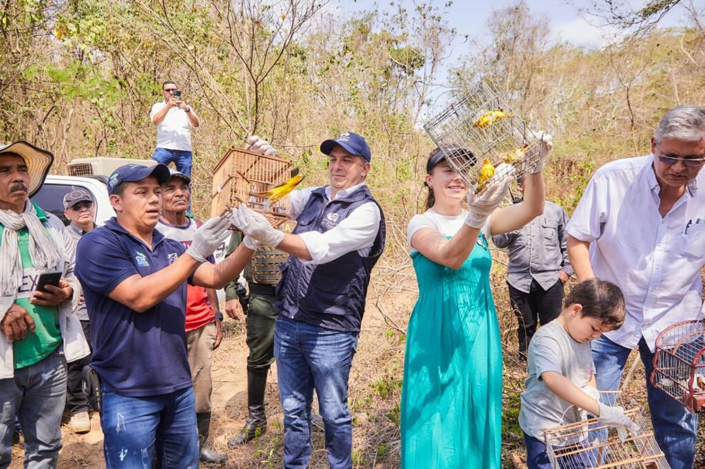 Defensoría pide a las autoridades ambientales protección de la fauna silvestre: “hay que permitir el desarrollo libre y digno de ejemplares”