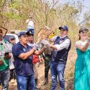 Defensoría pide a las autoridades ambientales protección de la fauna silvestre: “hay que permitir el desarrollo libre y digno de ejemplares”