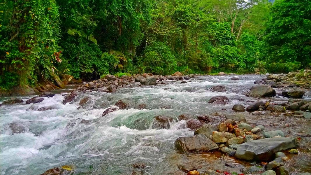 Pueblo Rico, Risaralda