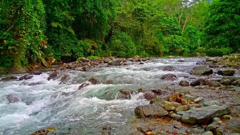 Pueblo Rico, Risaralda