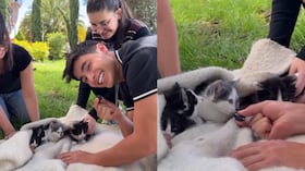 Julián Pinilla, "el chico de la ruana", rescató a una gata y sus crías.