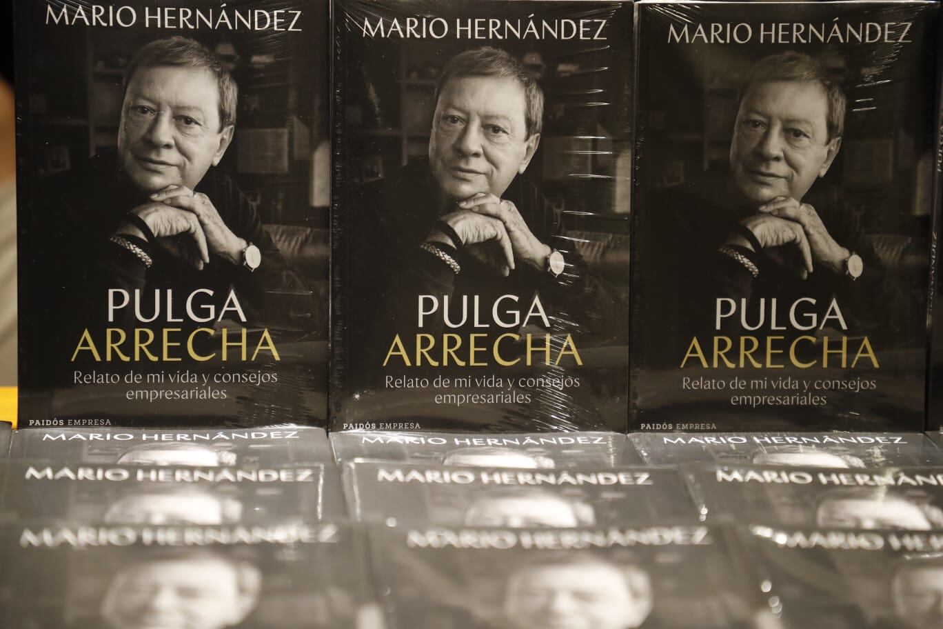 Mario Hernández, libro La Pulga Arrecha