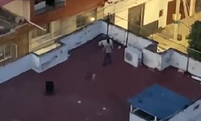 A través de redes sociales denunciaron un cruel hecho de maltrato animal.