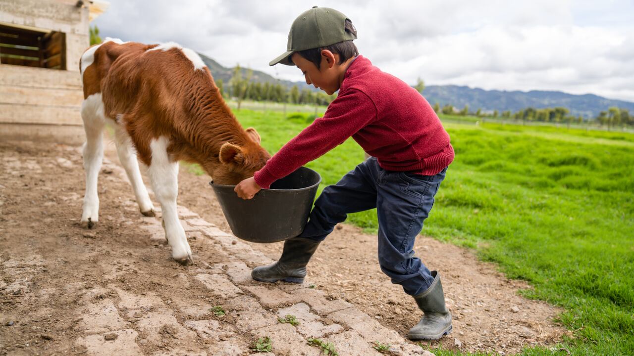 Los Objetivos de Desarrollo Sostenible proponen como meta llevar a cero todas las formas de hambre y desnutrición en el territorio nacional para 2030.