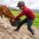 Los Objetivos de Desarrollo Sostenible proponen como meta llevar a cero todas las formas de hambre y desnutrición en el territorio nacional para 2030.