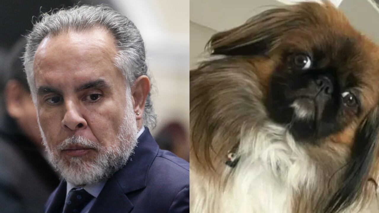 El ministro Armando Benedetti y el perro Maxi