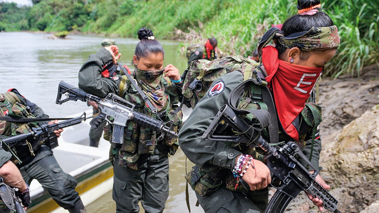 ELN. Imagen de referencia.