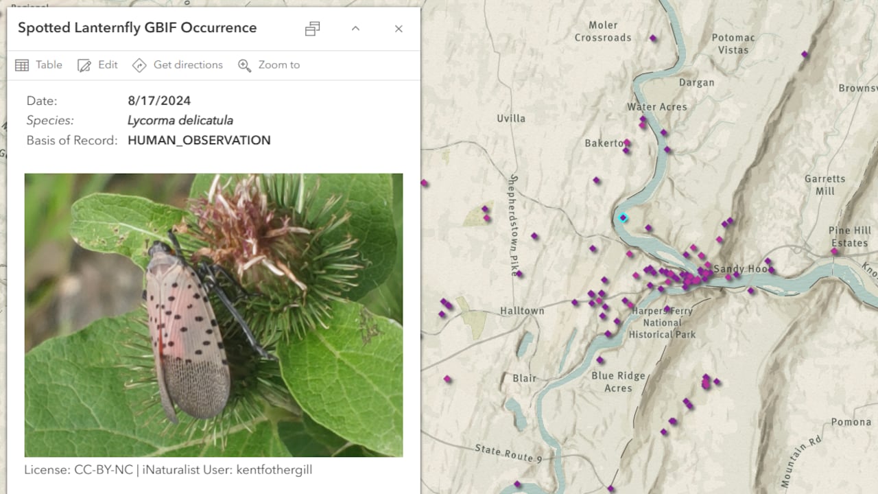 Ciencia ciudadana y tecnología geoespacial revelan especies perdidas y nuevas en Colombia
