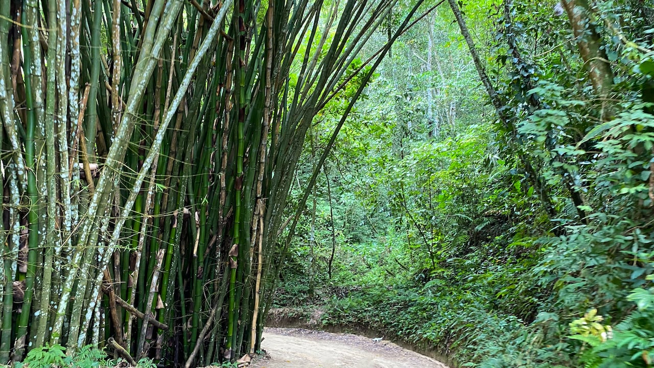 Este destino es epecial para los amentes de la naturaleza y las actividades al aire libre.