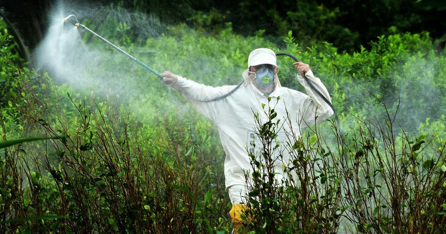 la fumigación de cultivos ilícitos