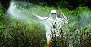 la fumigación de cultivos ilícitos