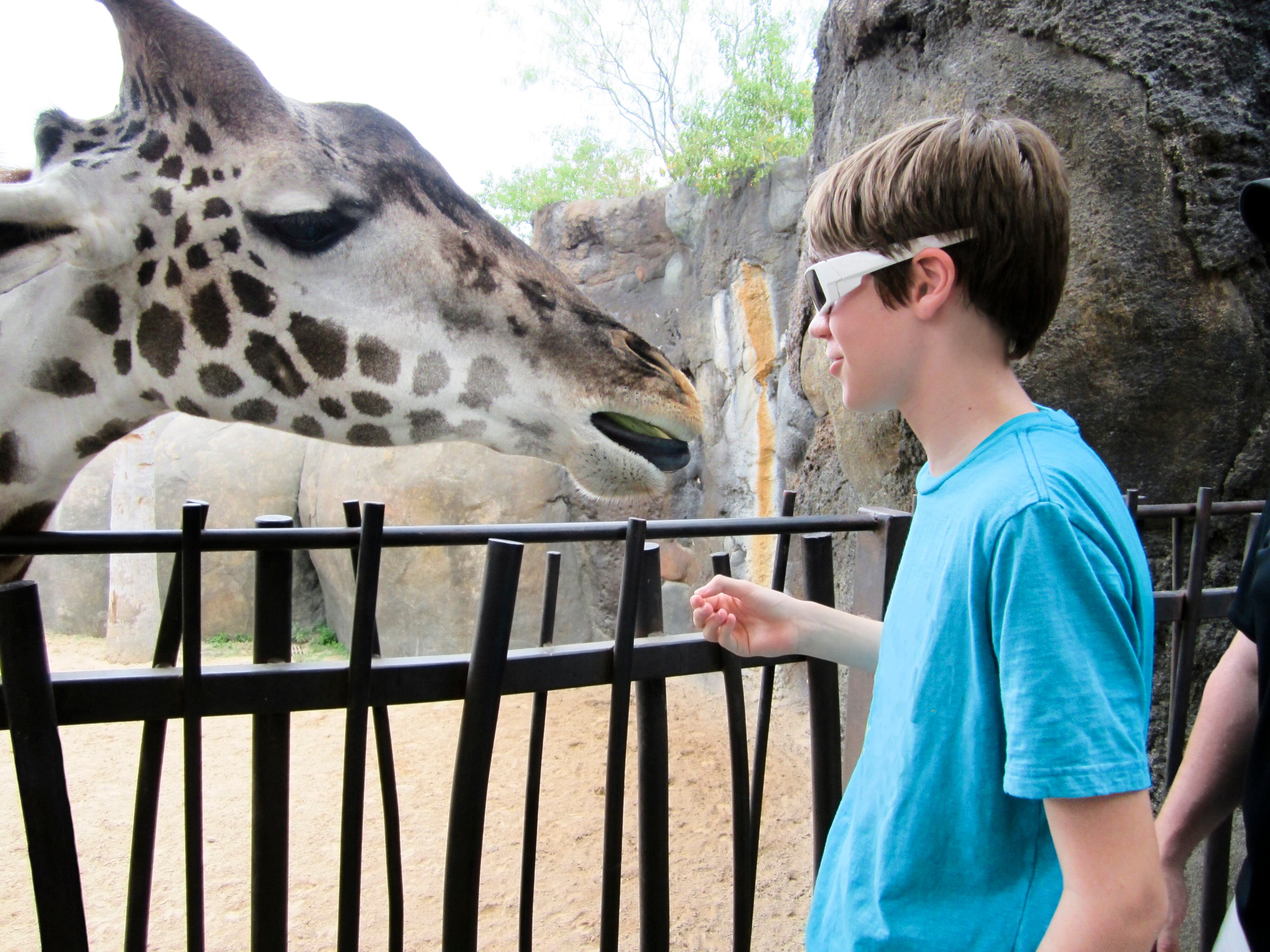 Turismo Copa América