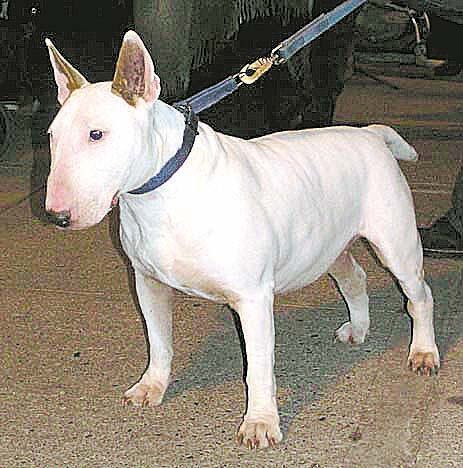 El proyecto fue aprobado en la sesión legislativa de 2024 y se le dio este nombre en honor a Pamela Jane Rock,