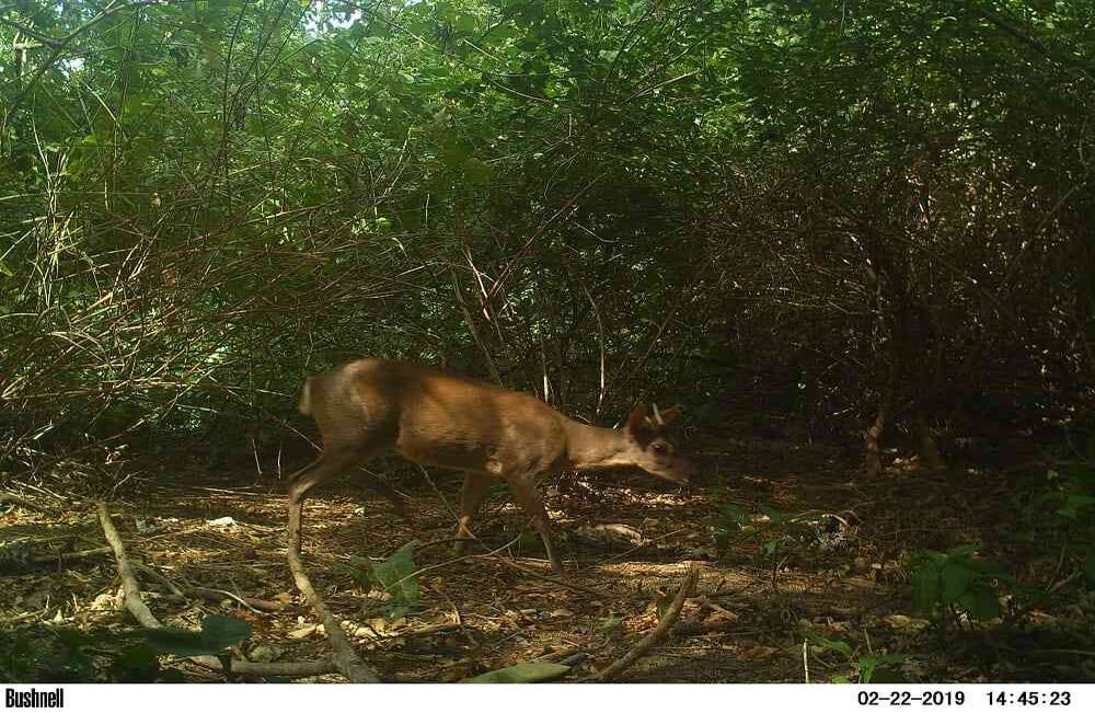 Foto: Parques Nacionales Naturales