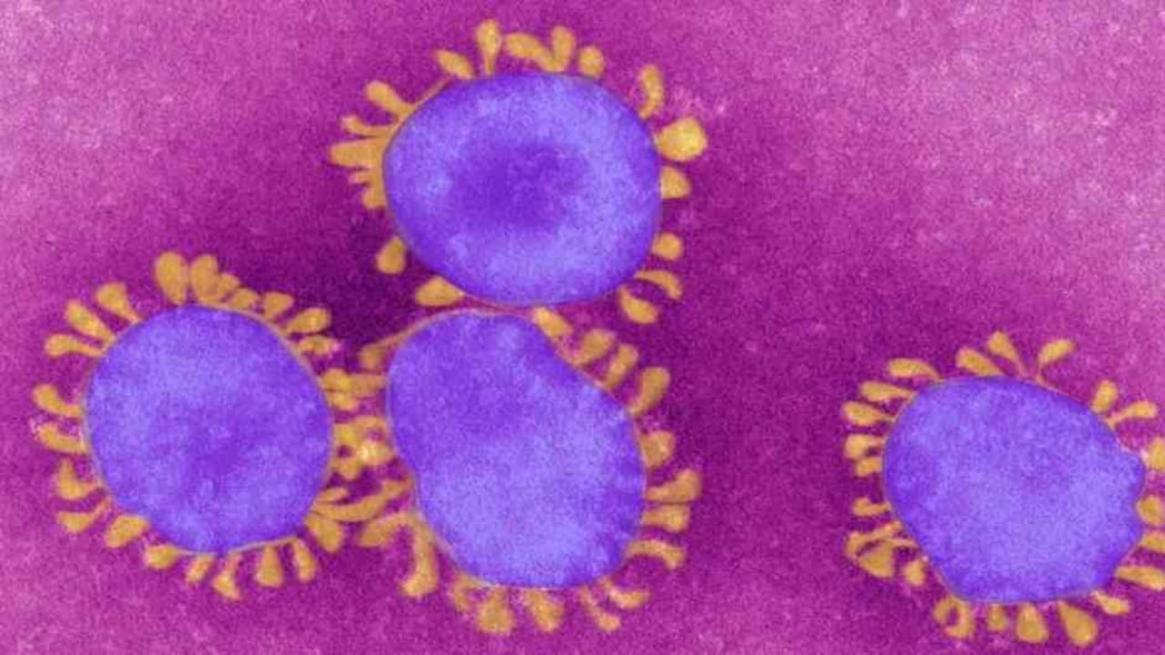 El SARS-CoV-2 ha sido catalogado como un virus con potencial endémico por la OMS. Foto: Getty.
