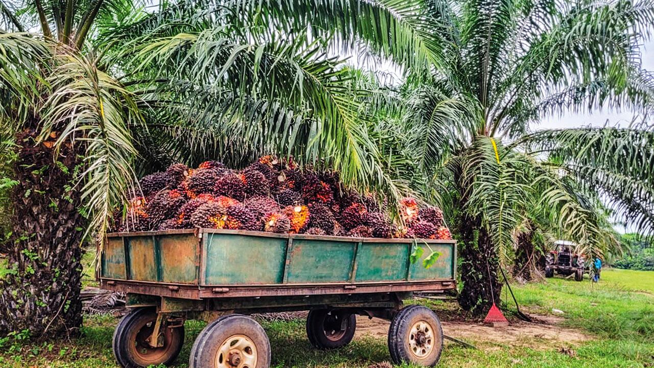 El director de la ANT respondió por estos hechos.