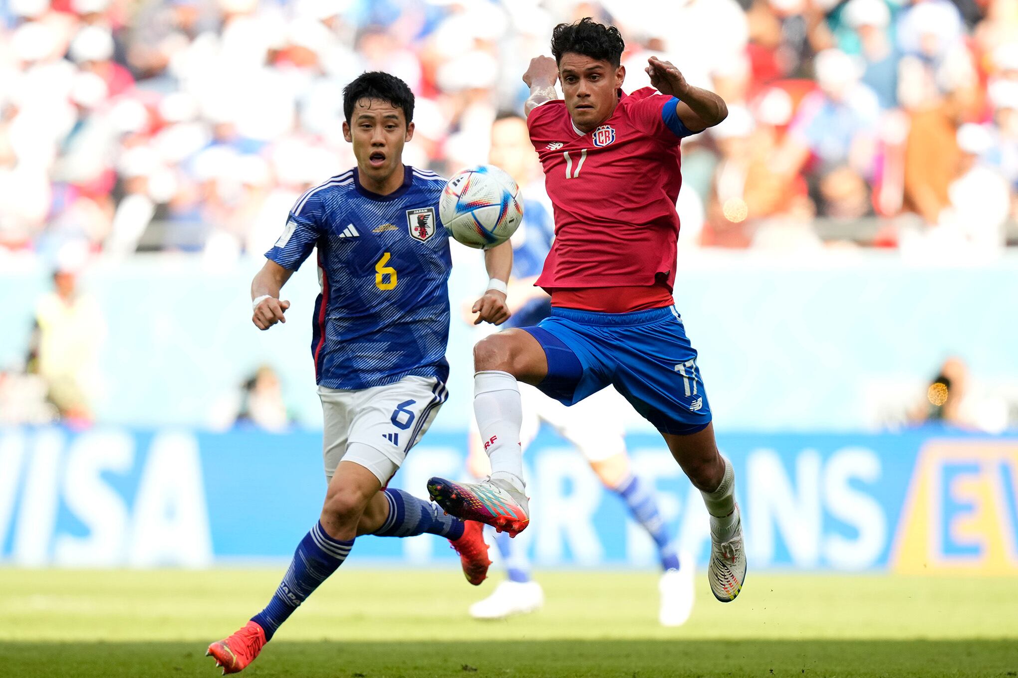 En imágenes : así se vio el mundial este domingo