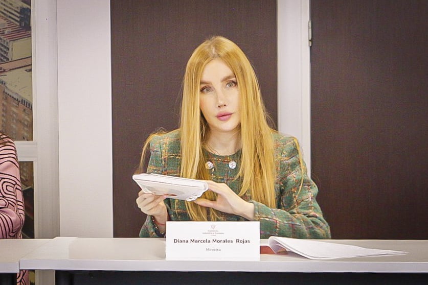 Diana Marcela Moreno, ministra de Comercio, Industria y Turismo.