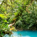 Los mejores lugares para hacer ecoturismo en el mundo