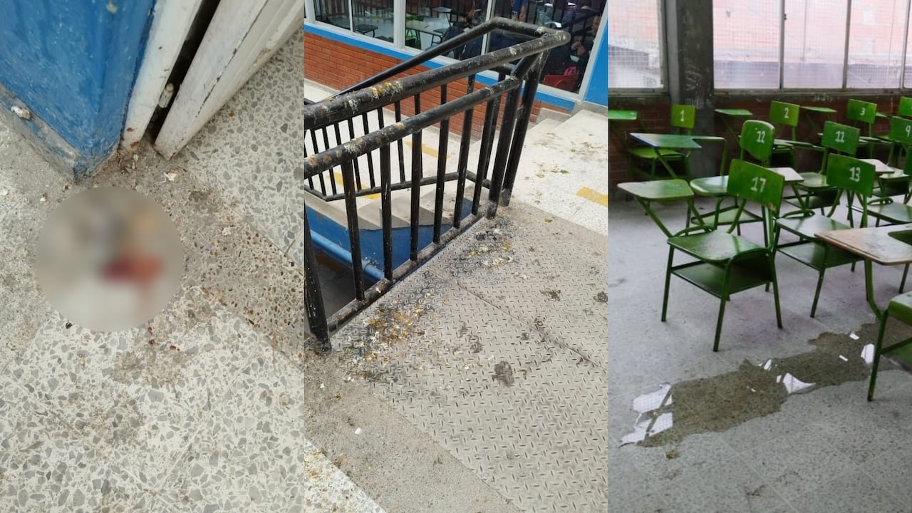 Un pichón muerto y estiércol de paloma en los pasillos del colegio. Las aulas están inundadas.