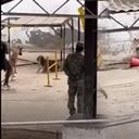 El Ejército negó la existencia de la practica denunciada, y afirmó que se trata de un procedimiento de entrenamiento 'conductual'.