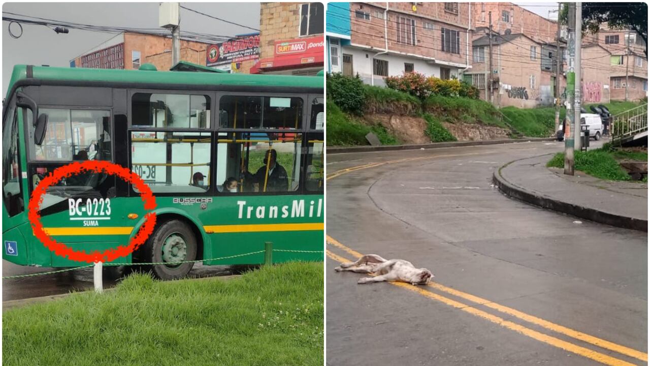 El hecho ocurrió en el sector de Arborizadora Alta, en Bogotá.