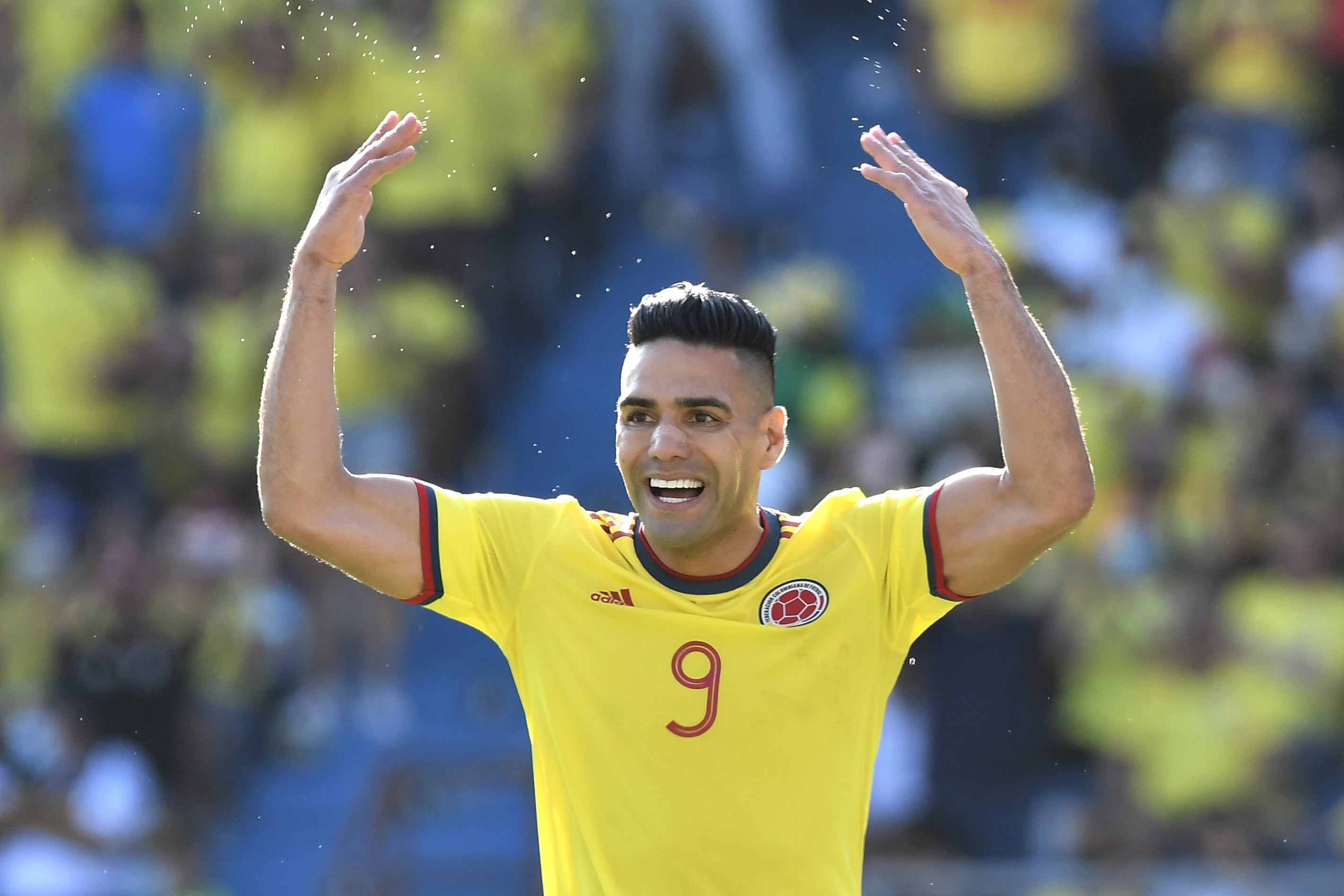 Falcao, delantero de la Selección Colombia.