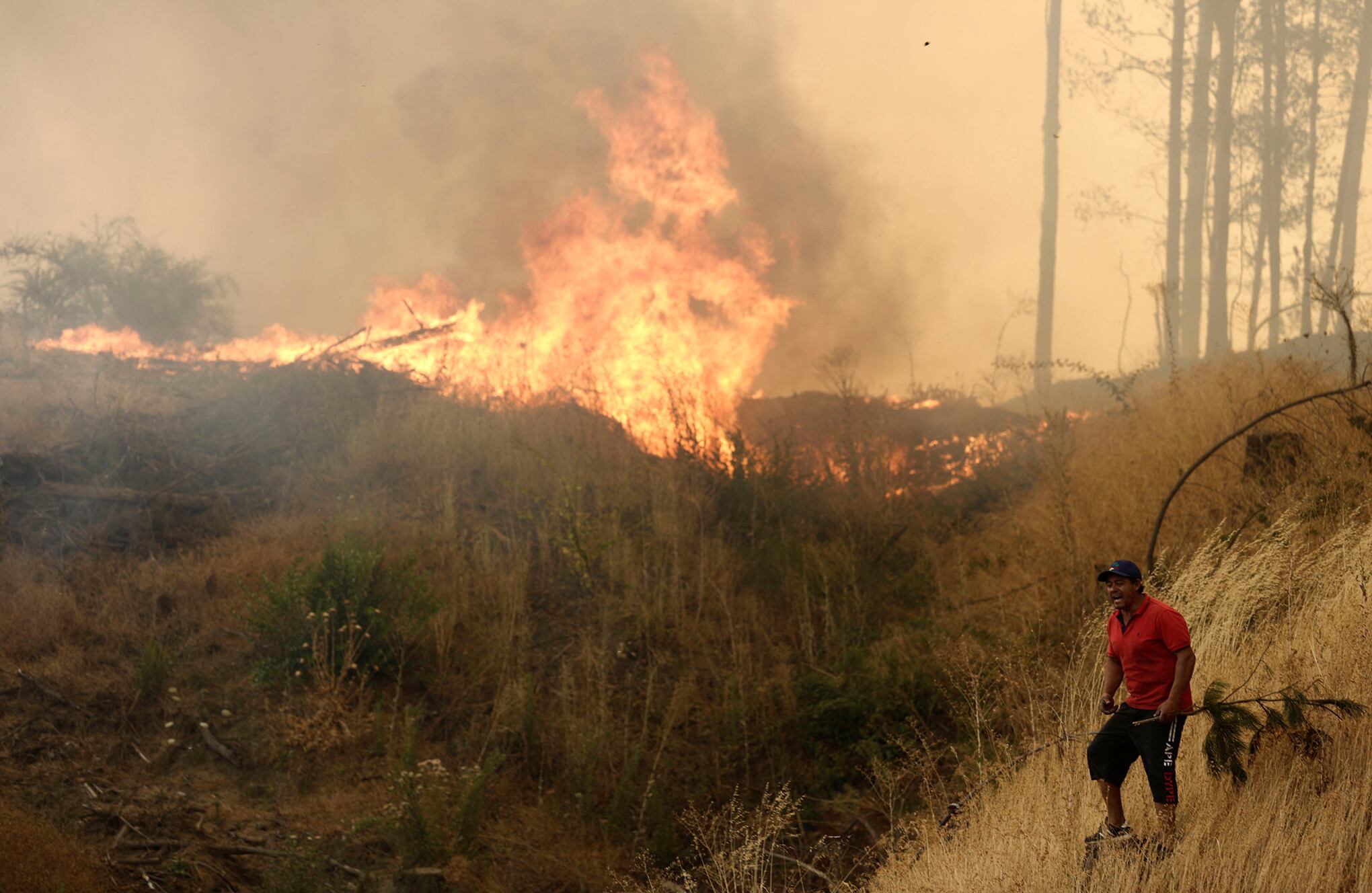 Fotos de la semana 10 febrero