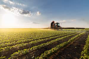 Tractor spraying pesticides on soybean field with sprayer at spring