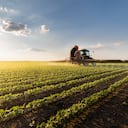 Tractor spraying pesticides on soybean field with sprayer at spring