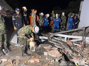 Úrsula, la perra labradora que ayudó con el rescate de las víctimas en matrimonio que terminó en tragedia.