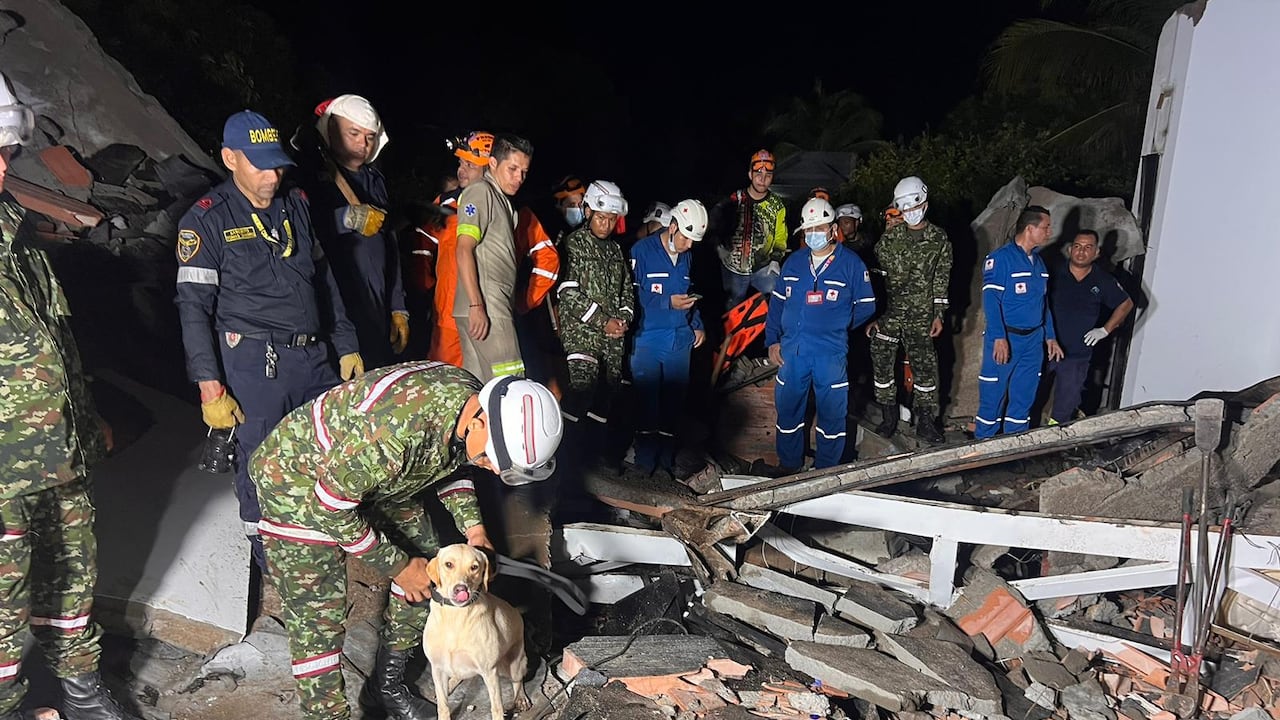 Úrsula, la perra labradora que ayudó con el rescate de las víctimas en matrimonio que terminó en tragedia.