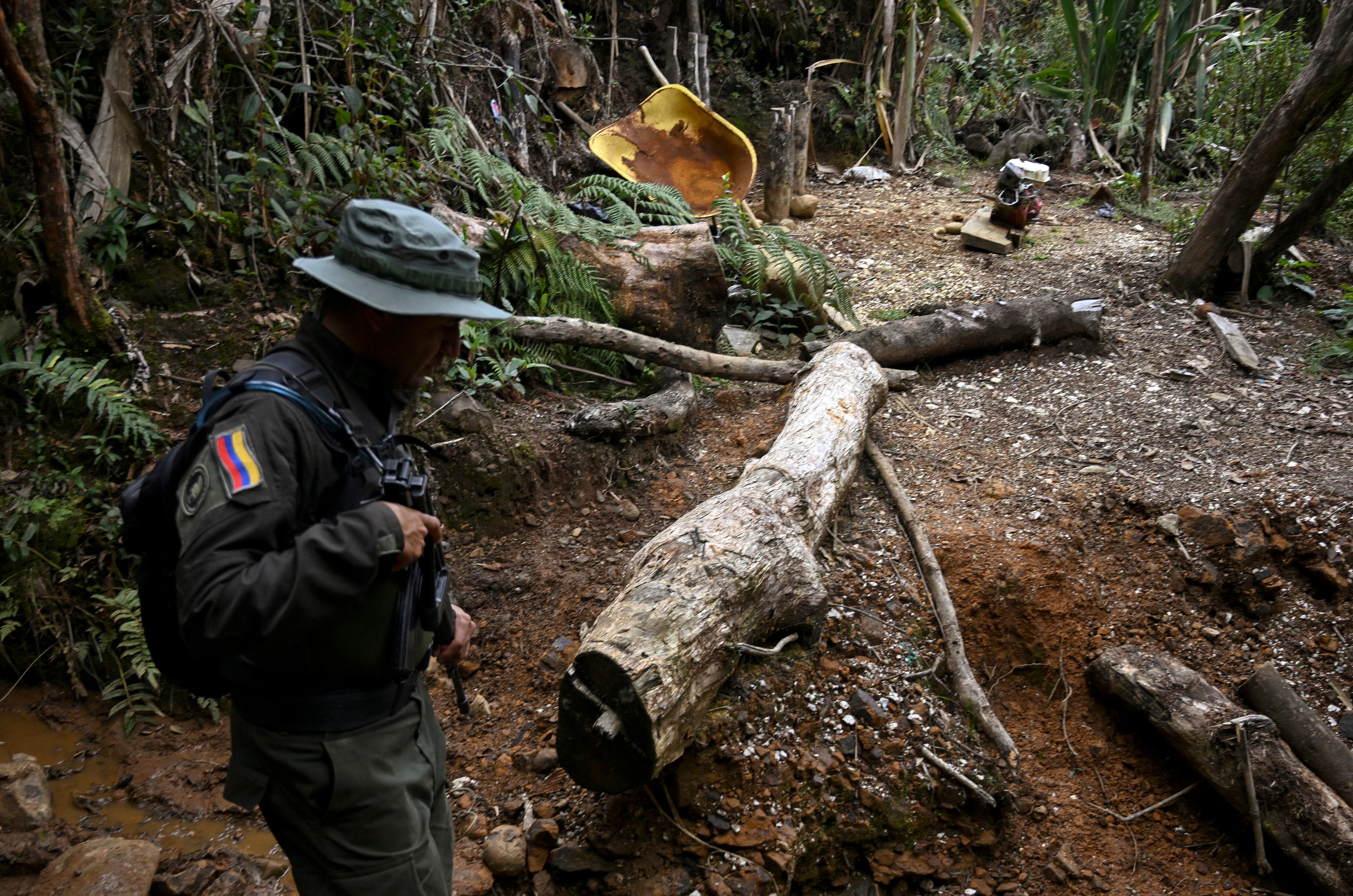 Los Farallones fueron intervenidos por el Ejército, la Policía de Cali, la Alcaldía, la Gobernación y Parques Nacionales.
