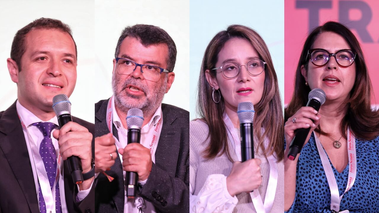 Nicolás Rincón, director de Infraestructura y Energía Sostenible del Departamento Nacional de Planeación (DNP); Darío Hidalgo, profesor e investigador de transporte de la Universidad Javeriana; María Fernanda Ortíz, experta en movilidad; y Carolina Rojas Hayes, presidenta ejecutiva de Fedebiocombustibles.