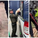 Operativo en Bogotá: IDPYBA y Carabineros intervienen criadero clandestino de caninos en Florida Blanca.