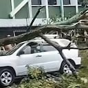 Aguacero en Ibagué provocó daños en algunos vehículos y caída de árboles.