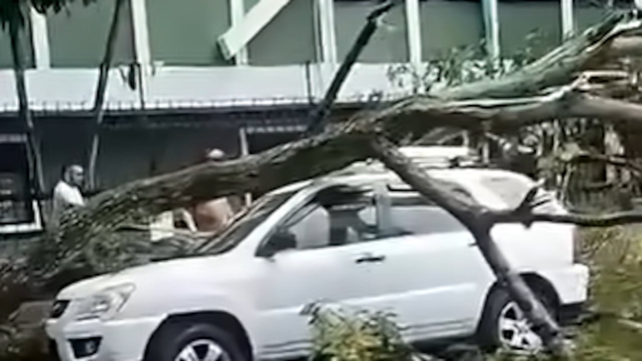 Aguacero en Ibagué provocó daños en algunos vehículos y caída de árboles.