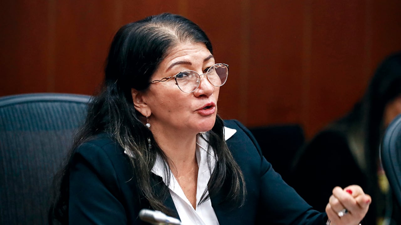 La Federación de Víctimas de las Farc (Fevcol) pidió a la JEP que vincule a la senadora Sandra Ramírez como máxima responsable en el macrocaso de reclutamiento y uso de menores en el conflicto.