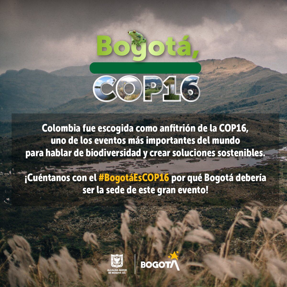 COP16