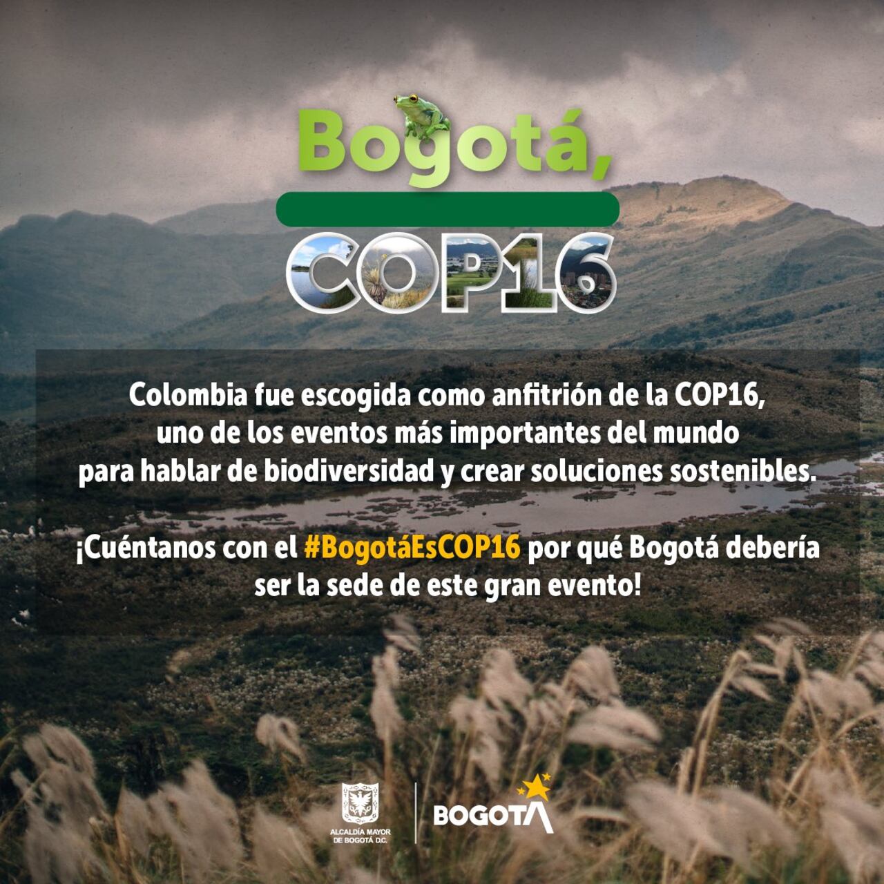 COP16