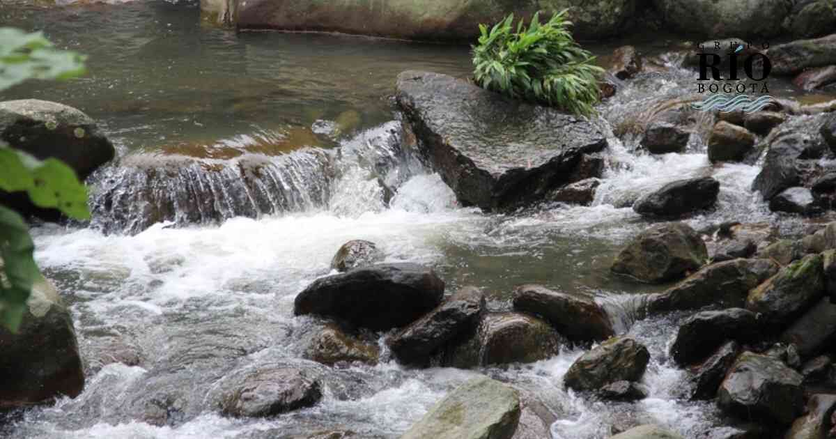 El páramo de Guacheneque en Villapinzón hace parte de un complejo mayor denominado Páramo de Rabanal – Río Bogotá. Foto: Nicolas Acevedo.