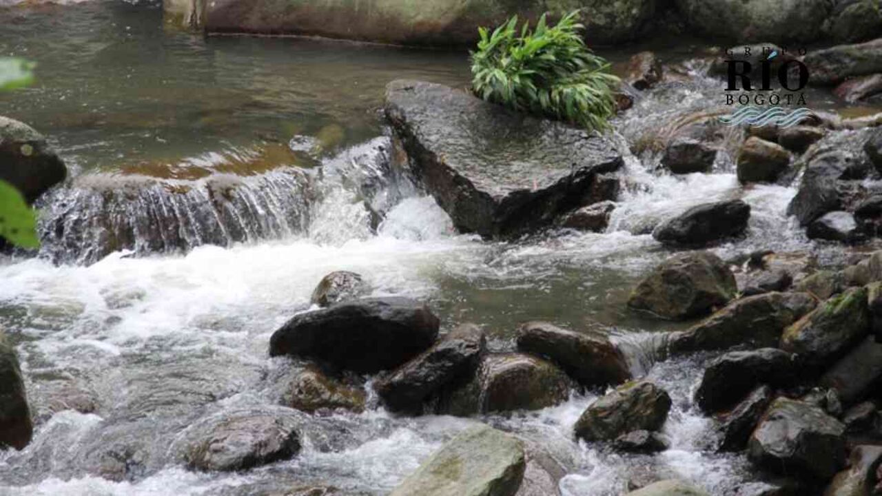 El páramo de Guacheneque en Villapinzón hace parte de un complejo mayor denominado Páramo de Rabanal – Río Bogotá. Foto: Nicolas Acevedo.